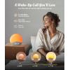 imageecozy Sunrise Alarm Clock White Noise Sound Machine Upgraded Backlit Buttons for Bedrooms 26 Soothing Sounds 17 Night Lights Bluetooth Speaker Wake Up Sunlight for Heavy Sleepers Adults KidsGrey  White