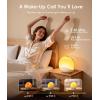 imageecozy Sunrise Alarm Clock for Bedroom White Noise Sound Machine 26 Soothing Sounds 17 Night Lights Bluetooth Speaker MusicSync Lights Wake Up Sunlight for Heavy Sleepers Adults Kids  NaturalNatural